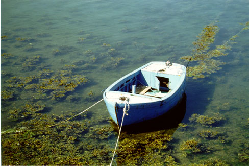 Bateaux bretons