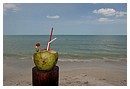lagunadeterminos06.jpg